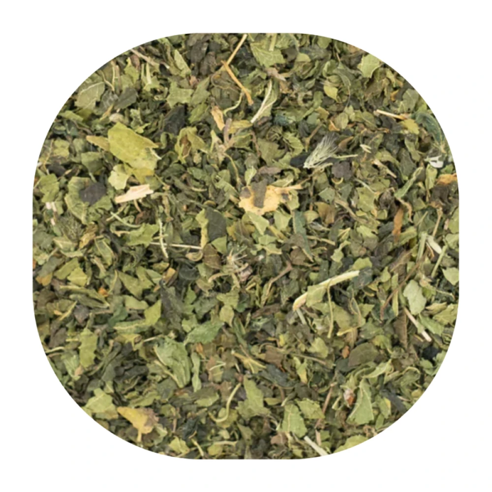 čaj od lista koprive