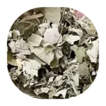 čaj od lista brusnice