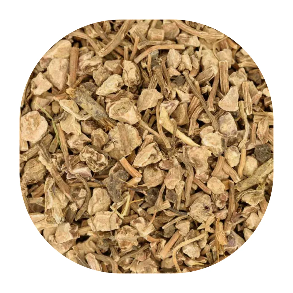 čaj koren jagorčevine