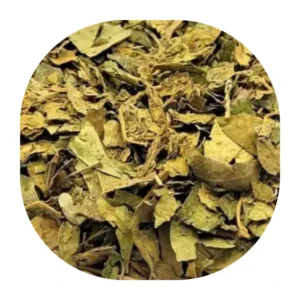 srebrna svilenica čaj